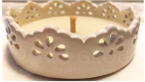 Featured image for “Citronella da esterno piatto in ceramica”